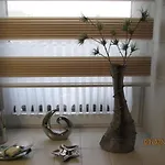 Zentrale-ruhige Apartamento