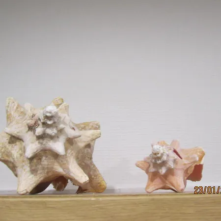 Lejlighed Zentrale-ruhige