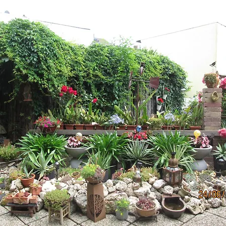 Zentrale-ruhige Lejlighed